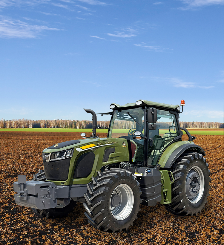 img of cate in index