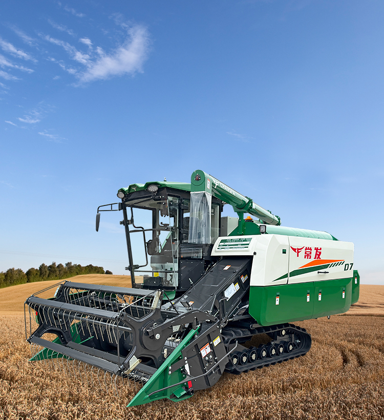 img of cate in index