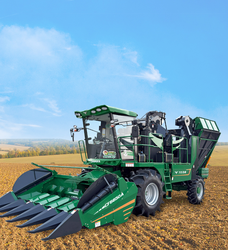 img1 of cate in cate